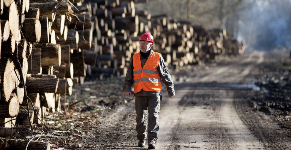 In 2024, Canada’s forest sector contributed $21 billion to GDP and exported $37 billion in products, making it the country’s fourth-largest export industry.