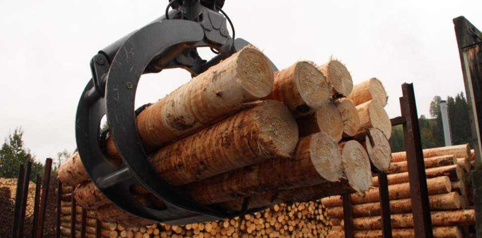 softwood log exports